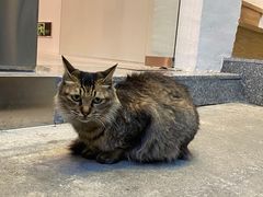 -大益茶庭(永庆坊店)