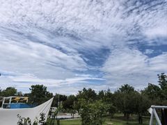 -爪吧宠物乐园 (温榆河示范区店)