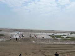 -启东黄金海滩景区