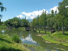 -才村湿地公园