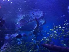 -石林冰雪海洋世界