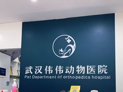 -伟伟宠物医院·CT影像中心·瑞派犬猫综合性门诊(汉口总院)