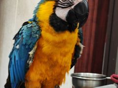 -观桥阁(锦溪店)