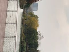 -新江湾城公园