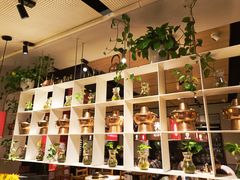 -老佛爷炭火蛙锅直营(清滨路总店)
