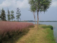 -南湖湿地公园