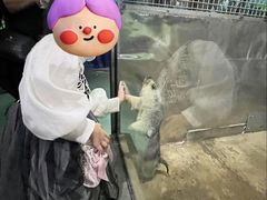 -苏州海洋馆