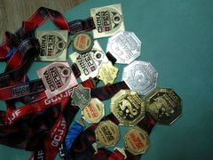 奖牌-金翼跆拳道巴西柔术拳击格斗学院