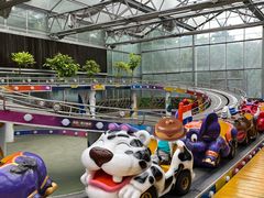 -南宫五洲植物乐园