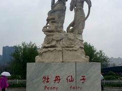 -曹州牡丹园