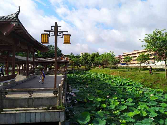 螺涌公园-"偶然间看到了这个地方,今天就迫不及待去打.