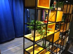 -藤野造型·专业烫染店