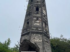 -上海佘山国家森林公园天马山园