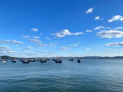 -海源公园