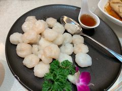 -锦江都城闵行饭店