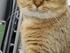 -万达广场(南京江宁店)