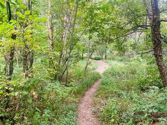 -帽儿山国家森林公园