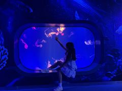 -海合安成都极地海洋公园