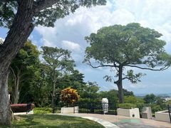-花柏山公园