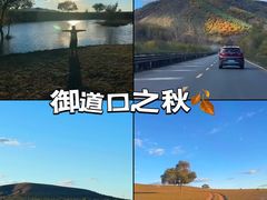 -御道口草原森林风景区