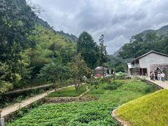 -黄檀硐景区