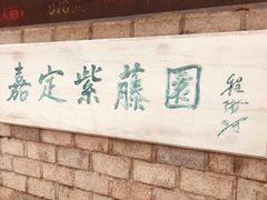 -嘉定紫藤园