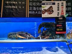 -船梆煮•蒸汽海鲜·炉火烤肉(五四广场店)