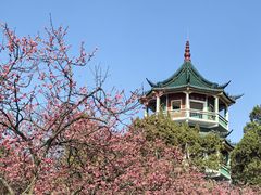 -无锡梅园公园