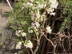 -排骨王·三十年本地老菜馆