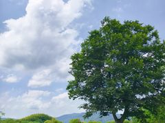 -良渚古城遗址公园