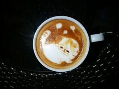 -喵屿·大理花园猫咖