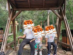 -大岭沟猕猴桃谷风景区