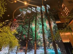 -桂满陇·海市蜃楼·黑金(国金店)