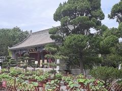 -大慈恩寺(大雁塔)