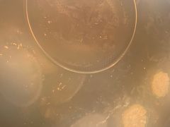 -小牛海记潮汕牛肉店(永定路店)