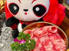 -蜀大侠火锅(总府路店)