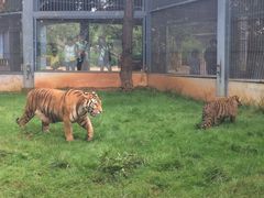 -昆明动物园