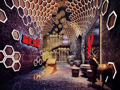 -星汇纯K量贩式KTV(卜蜂中心店)