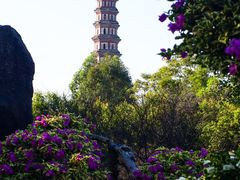 -广州莲花山旅游区