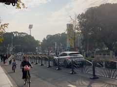 -昆山城市生态森林公园