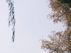 -拙政园