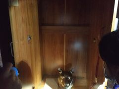 -魔方cube剧情密室逃脱(海岸城店)