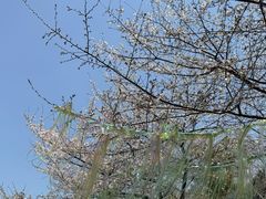 -堤角公园