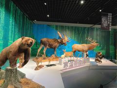 -中国湿地博物馆