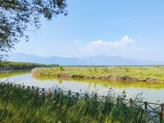 -野鸭湖国家湿地公园