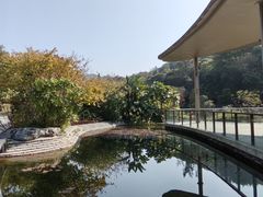 -云溪植物园