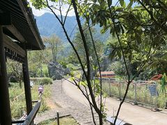 -千岛湖石林
