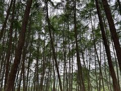 -硗碛藏寨·神木垒景区