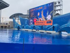 -上海海昌海洋公园