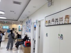 -美联众合动物医院·24h京西诊疗中心